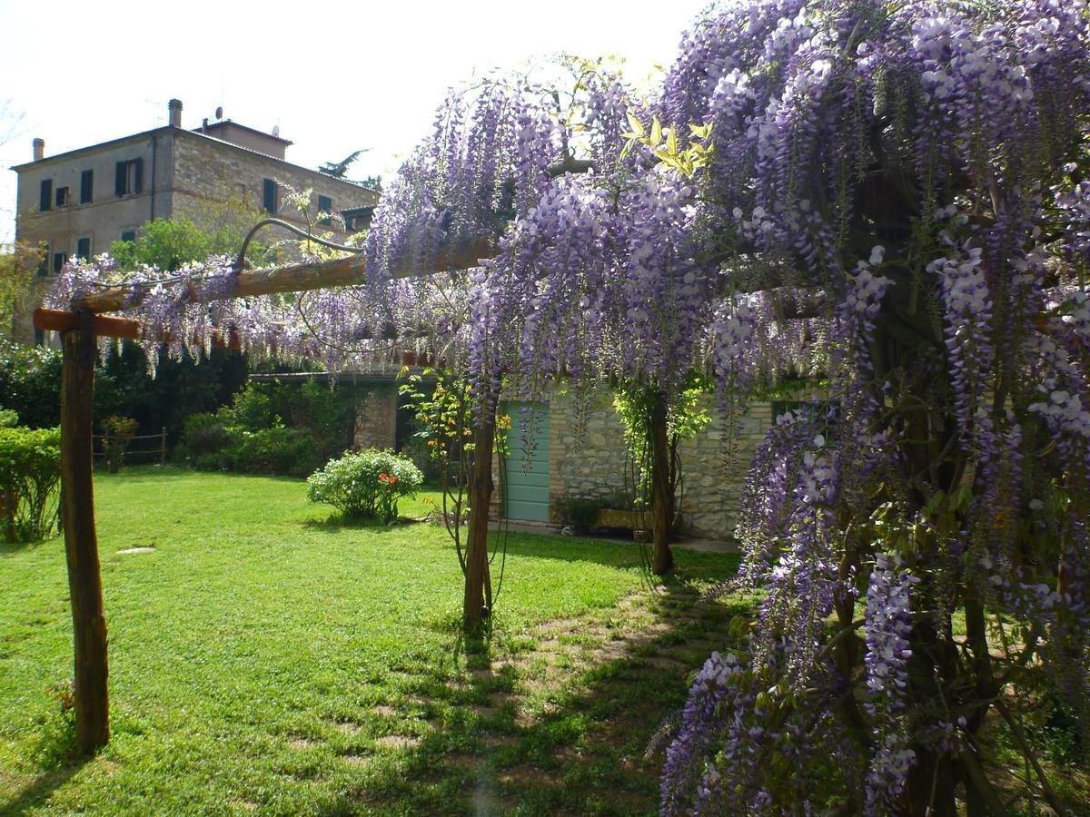 Hotel Bio La Crocetta San Casciano dei Bagni Zewnętrze zdjęcie